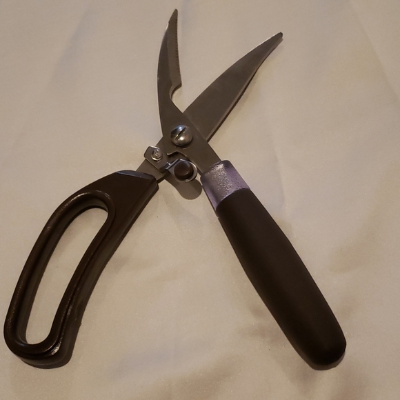 Scissor - Picture 10 of 16
